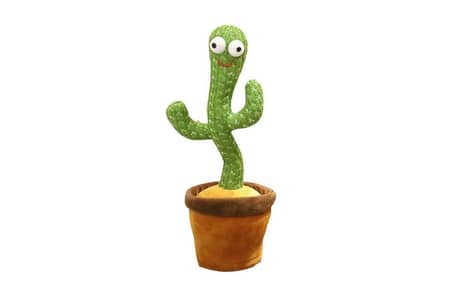 Dancing Cactus