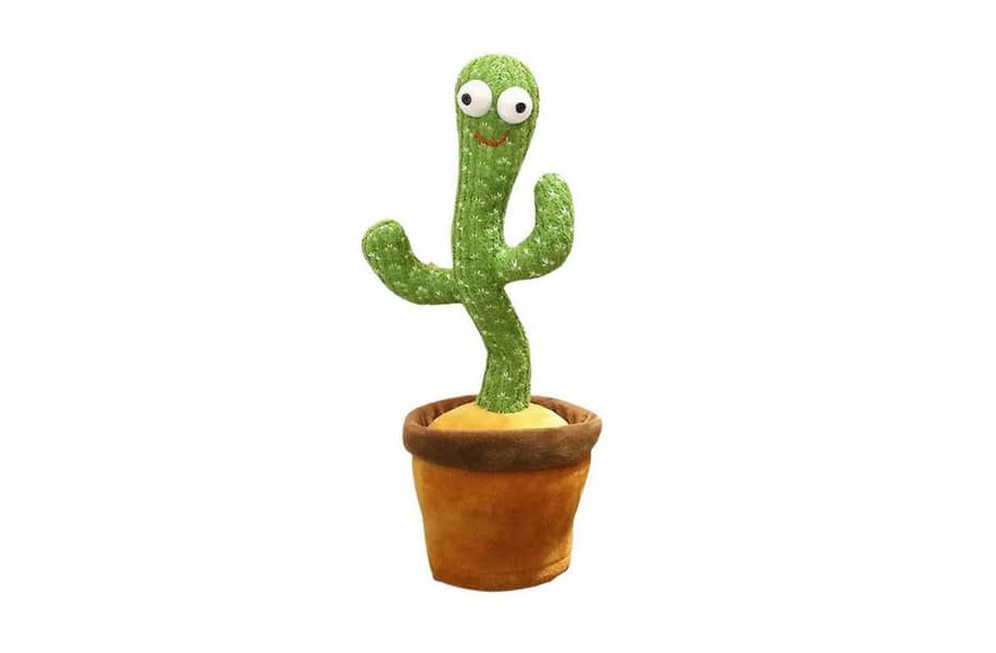 Dancing Cactus 0
