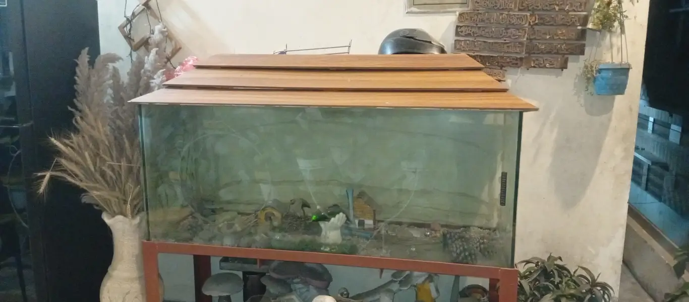 fish aquarium — photo 2