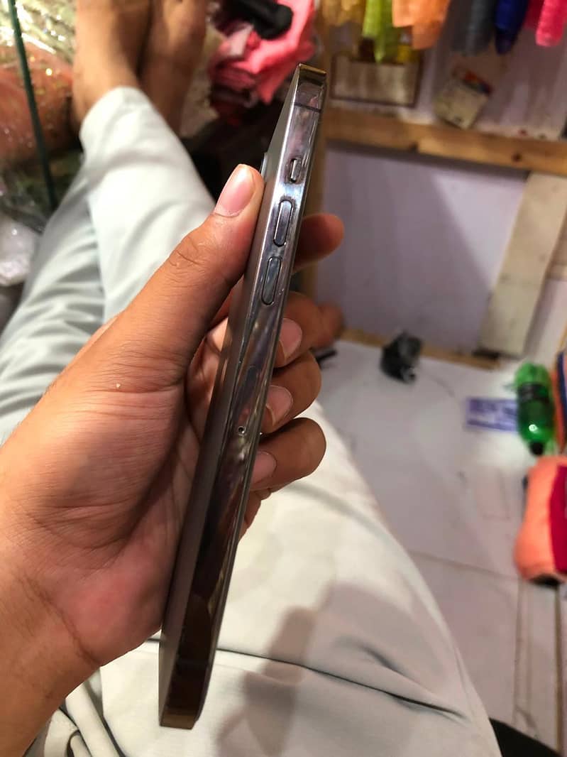 12 Pro Max 3