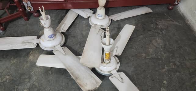 ceiling fans