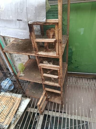 Cages for cheap selling urgent
