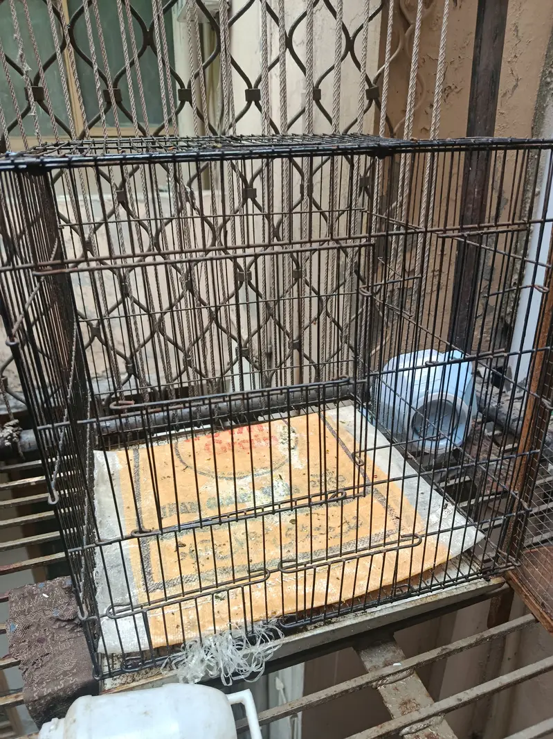 Cages for cheap selling urgent — photo 3