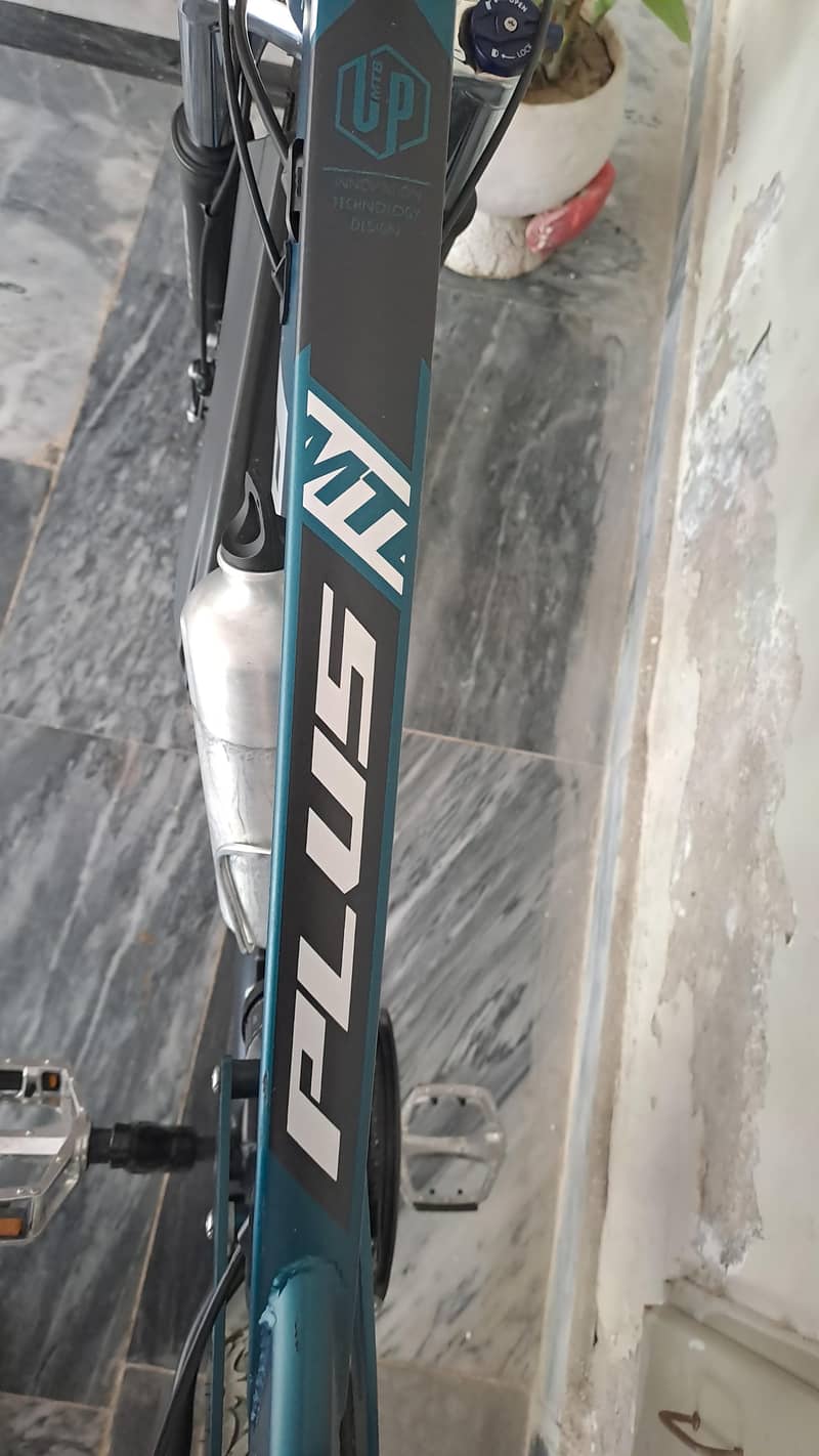 mountain cycle 4