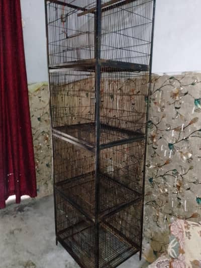 2×2 pinjarra
