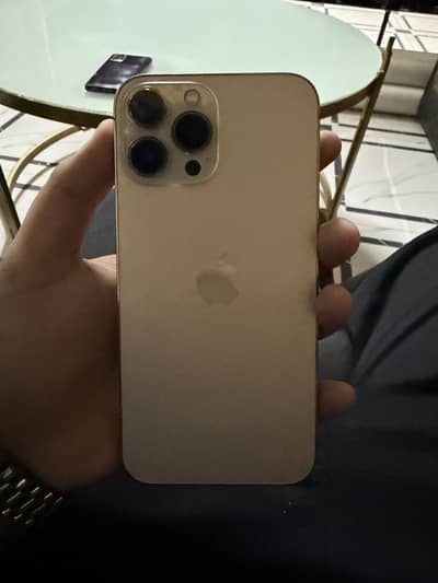 Apple iPhone 13 Pro Max