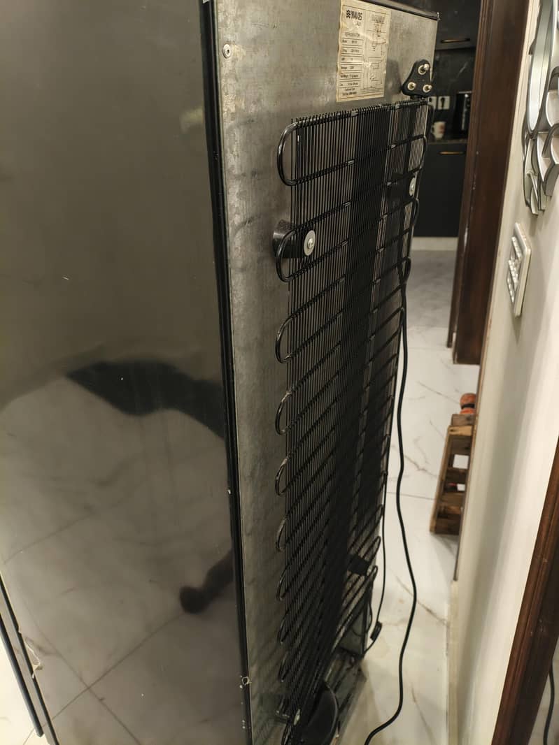 Waves Refrigerator 2