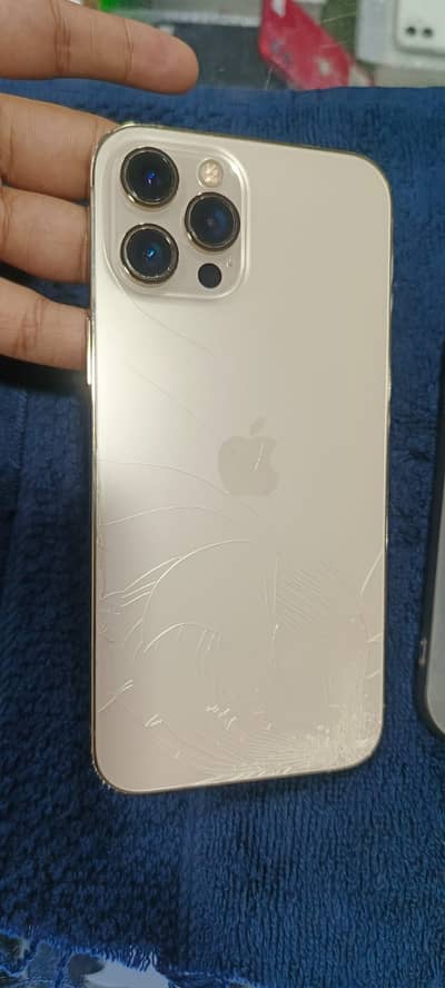 Iphone 12 pro max pta approved