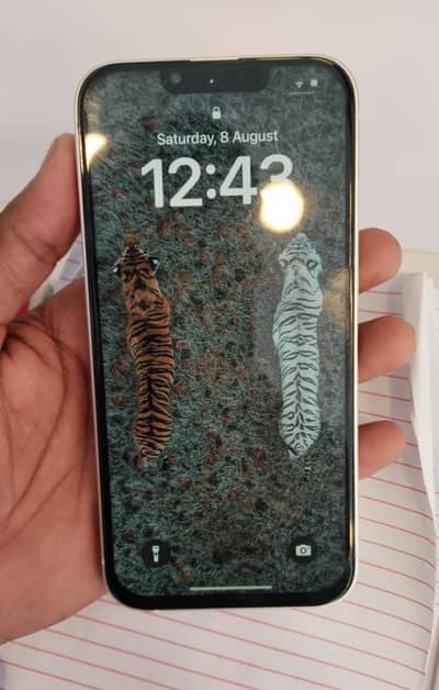 Apple iPhone 13