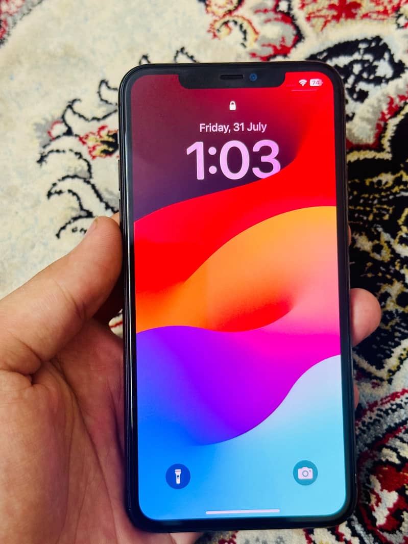 11 pro max 1