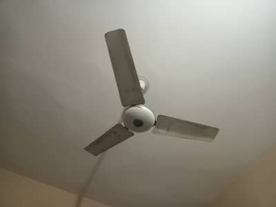 Fan Royal 56 inch only Ac