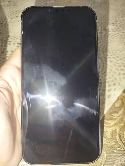 Apple iPhone 13 Pro Max