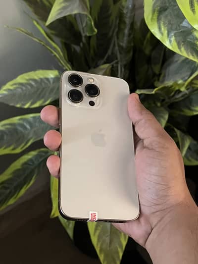 Apple iPhone 13 Pro PTA approved 256GB