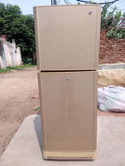 Pell Refrigerator Fridg Achi condition main