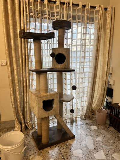 Cat Tree House
