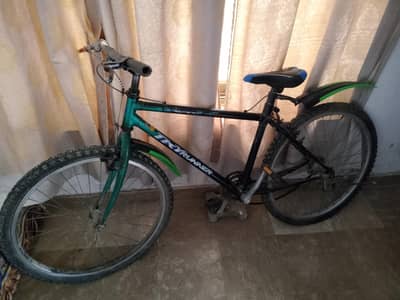 Full size sleek bicycle