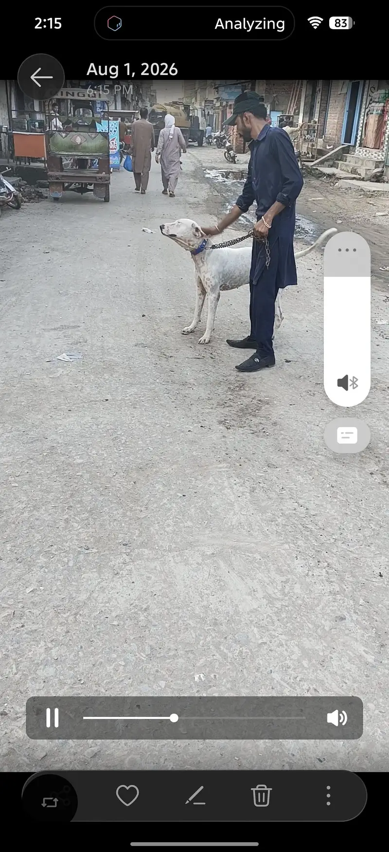 Dog for sale — photo 4