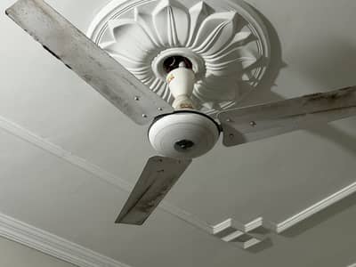 Ceiling Fan
