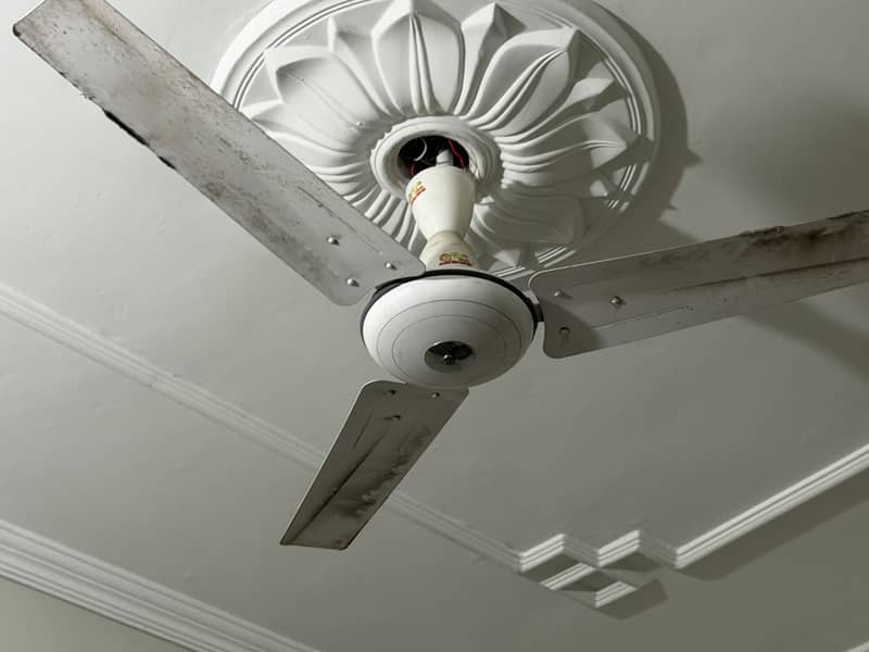 Ceiling Fan 0