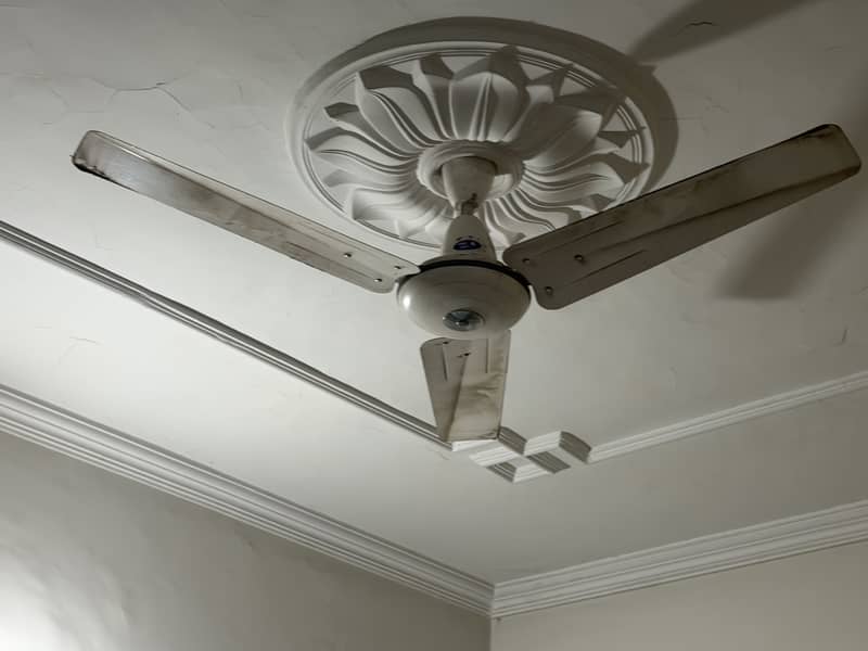 Ceiling Fan 1