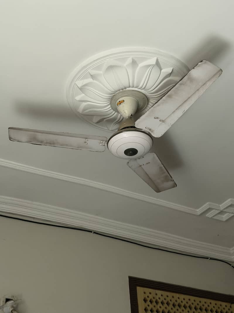 Ceiling Fan 2