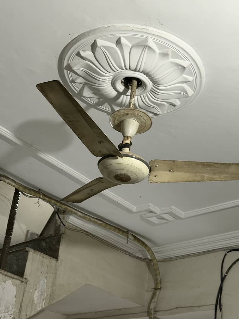 Ceiling Fan 3