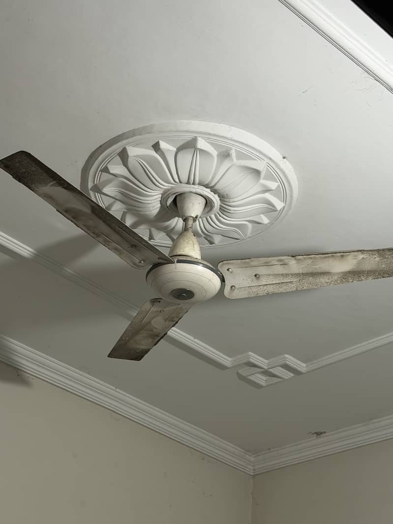 Ceiling Fan 4