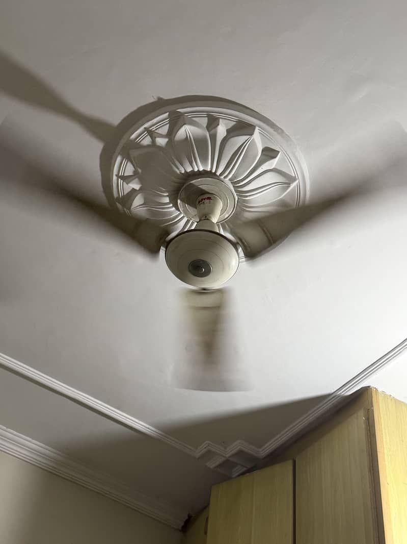 Ceiling Fan 5