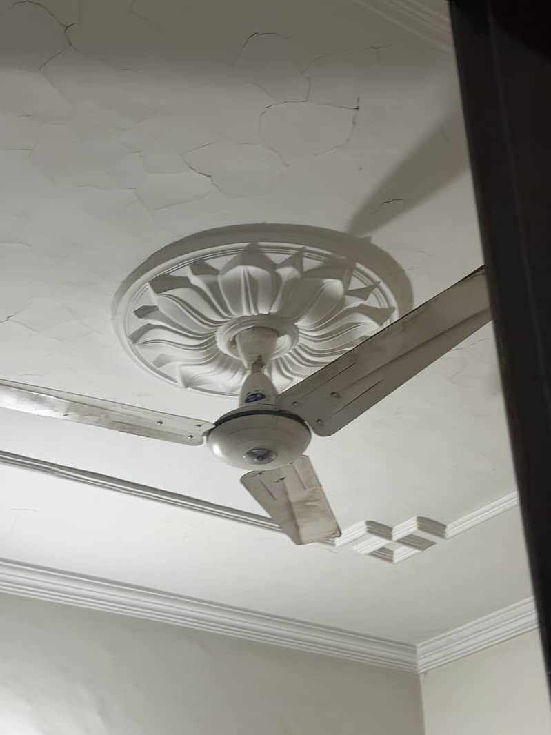 Ceiling Fan 6