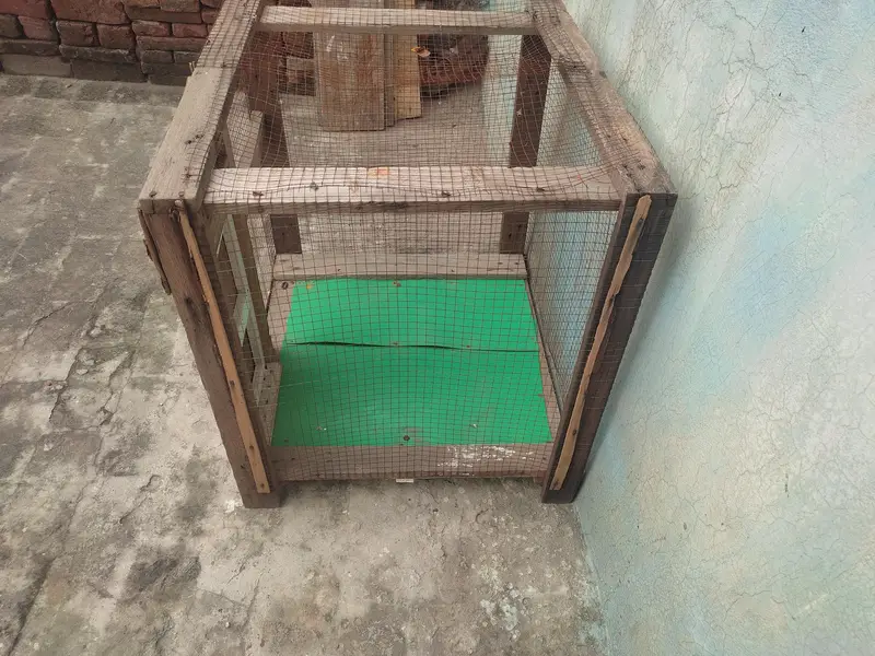 pinjra for sale. — photo 3