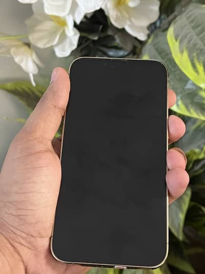iPhone 13 Pro 256gb dual sim pta approved