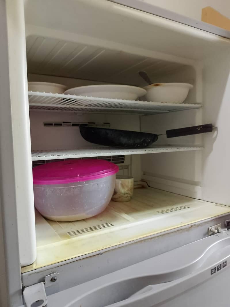 freezer 2