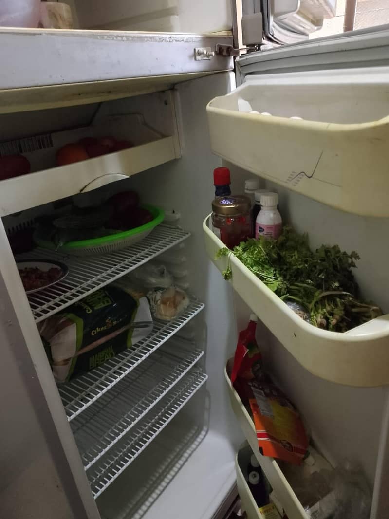 freezer 5