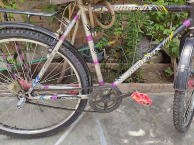 phoenix Cycle for sale
