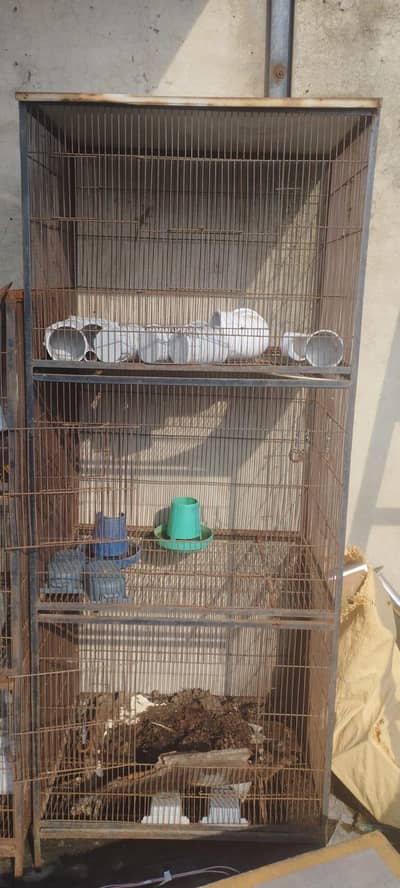 Birds Cages for Sale