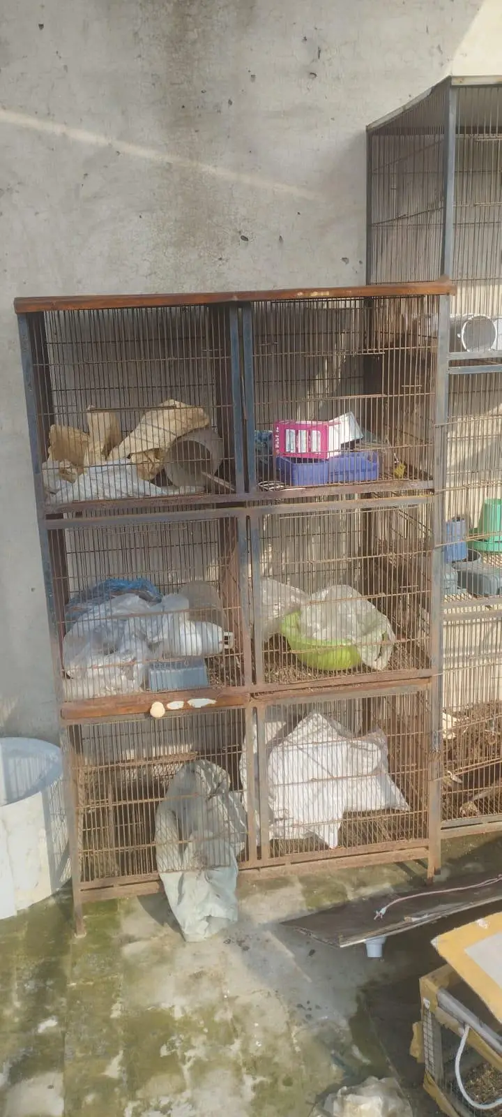 Birds Cages for Sale — photo 2