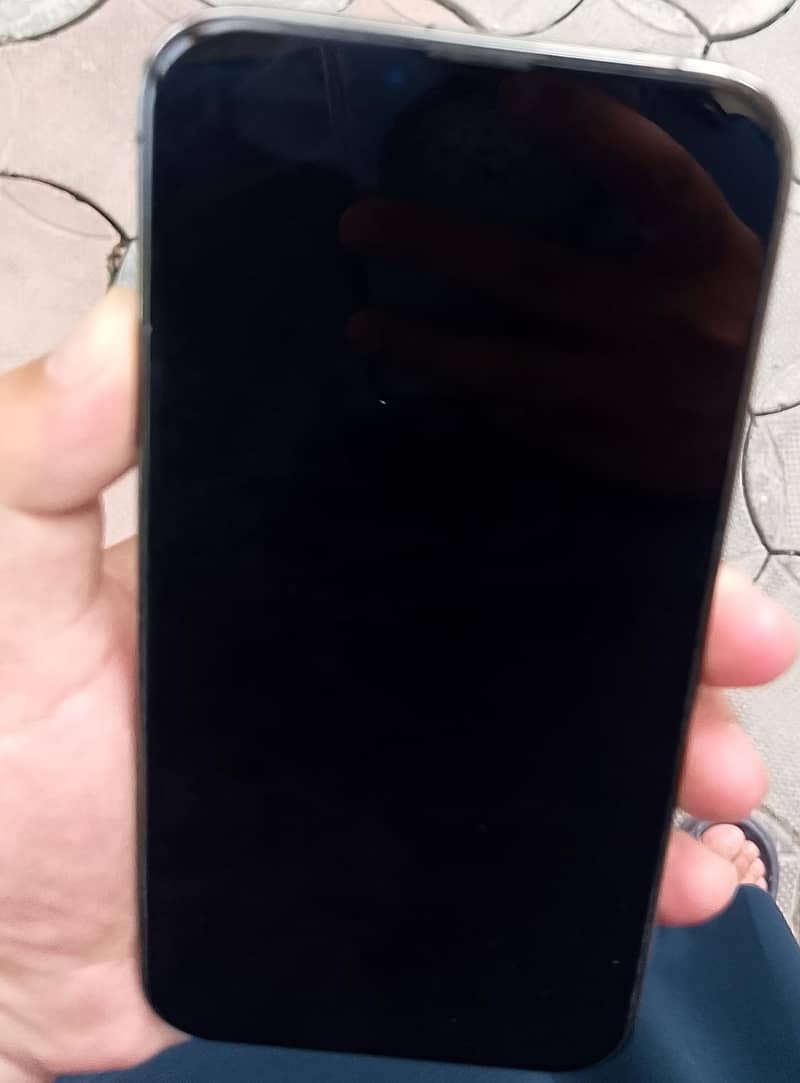 Apple iPhone 13 Pro Max 3