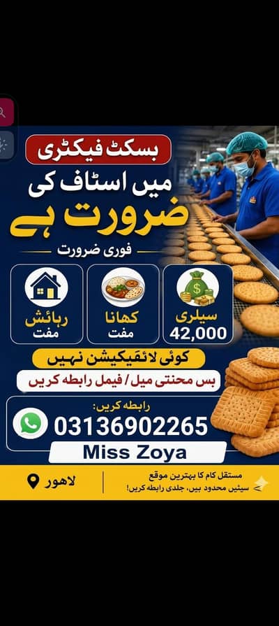 Need Urgent staff required in biscuits Factory