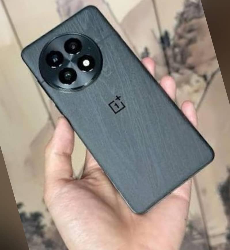 One Plus 13 1