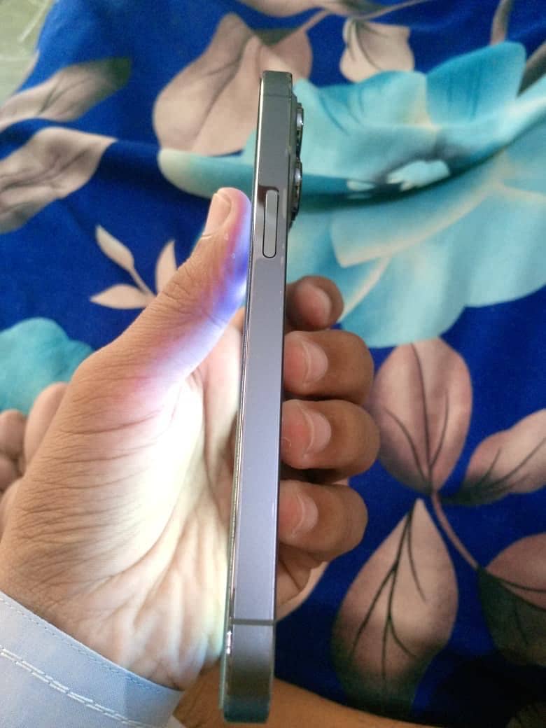 Apple iPhone 13 Pro 2