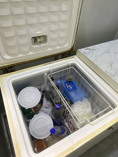2 door waves deepfreezer urgent sell