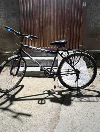 phoniex cycle 24inch