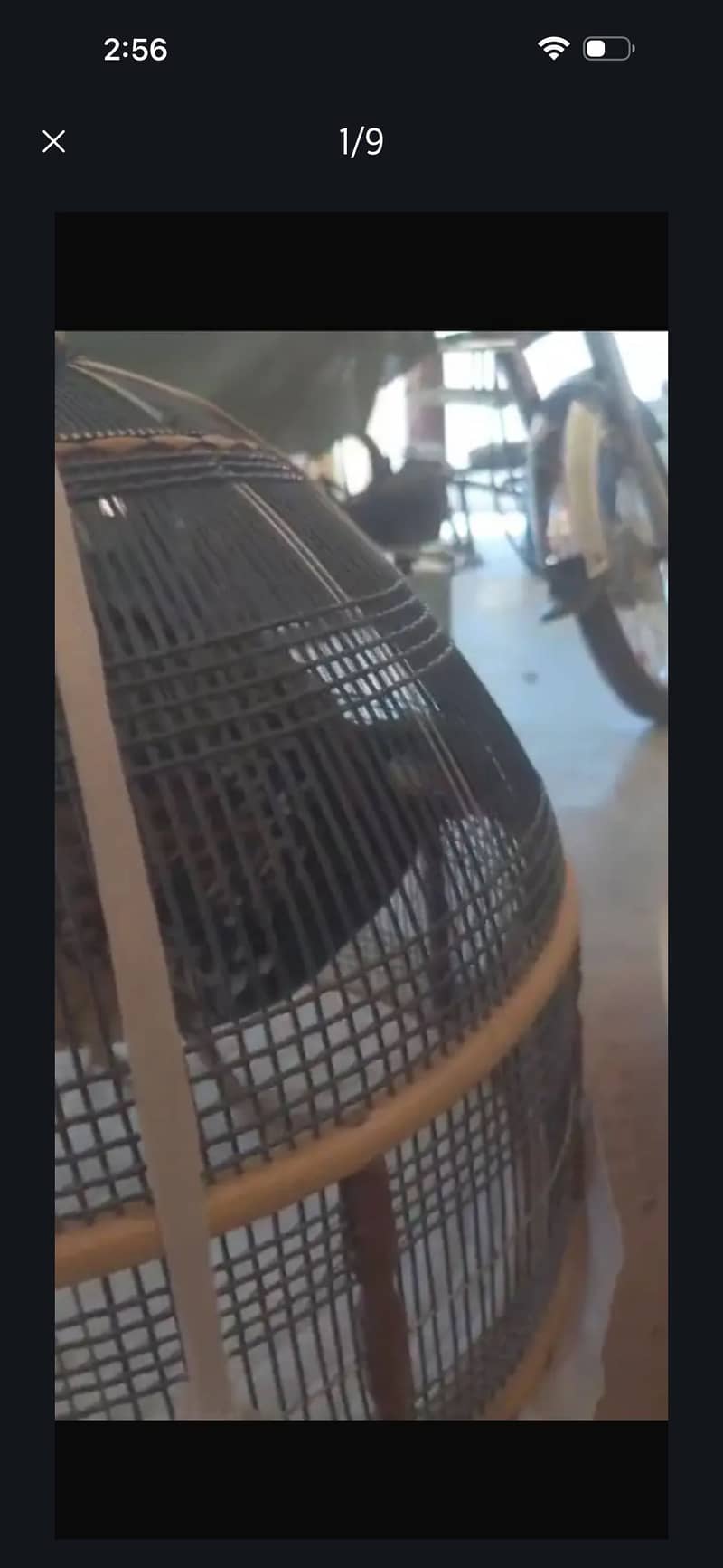 Kala Teter Sindhi 5