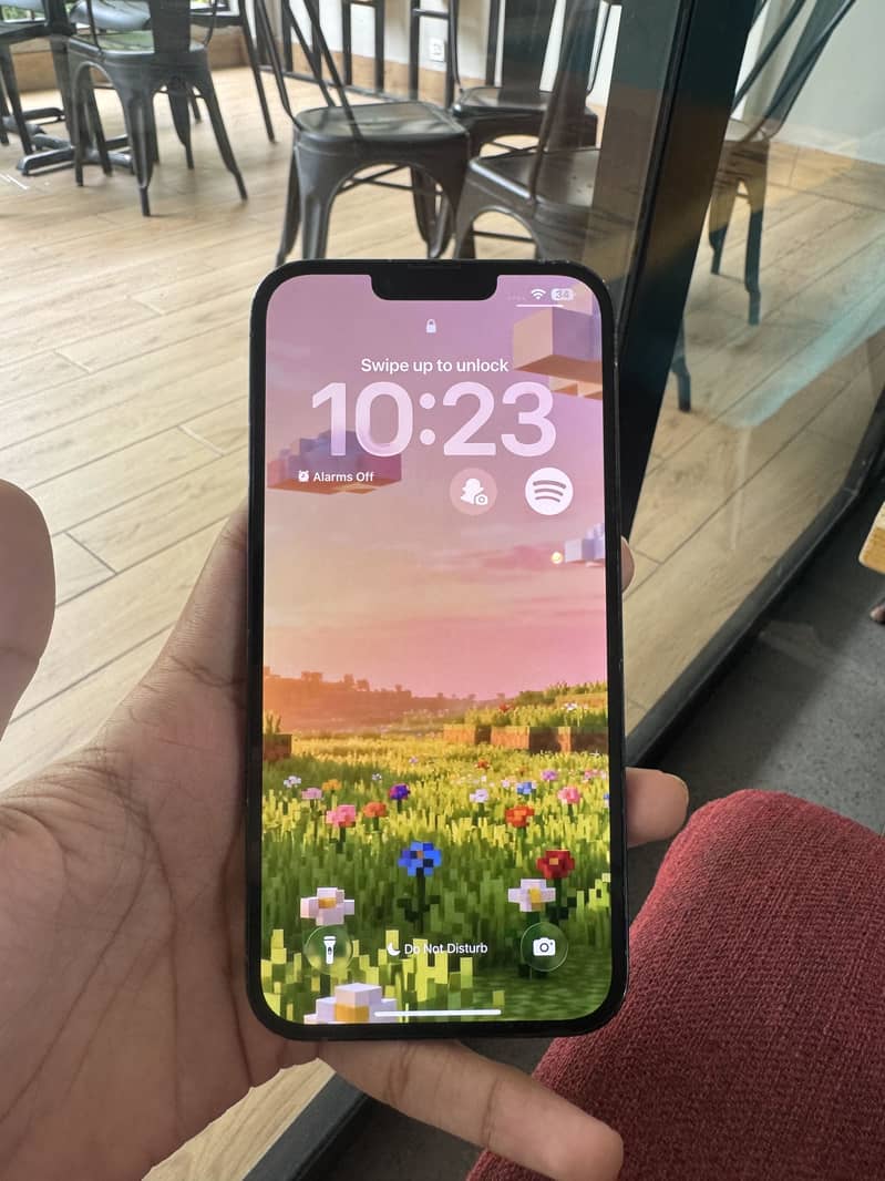 Apple iPhone 13 Pro Max 2