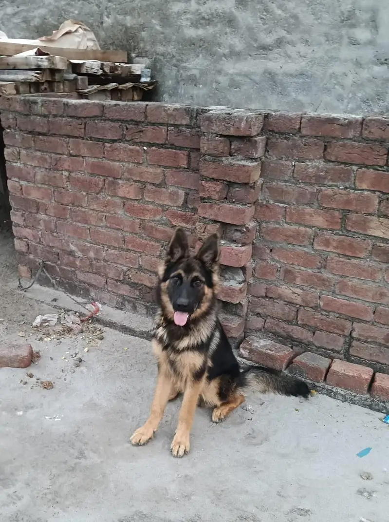 urgent sale — photo 3