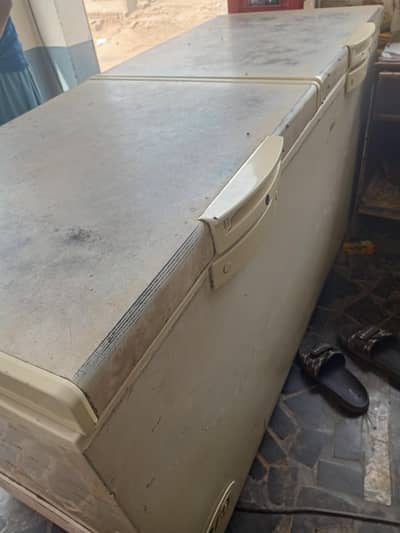 D Freezer