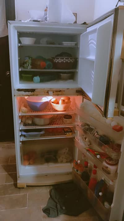 jawline refrigerator