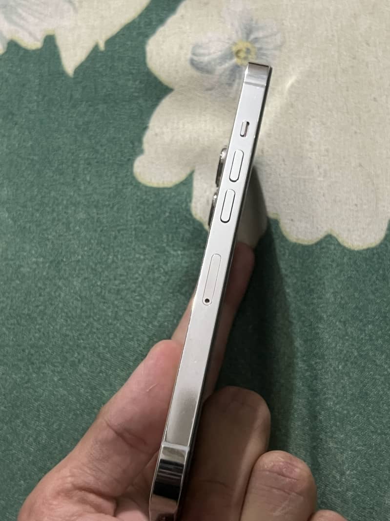 Apple iPhone 13 Pro 1