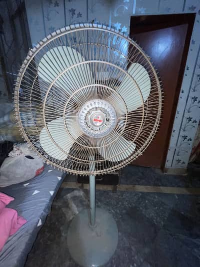 Royal fan