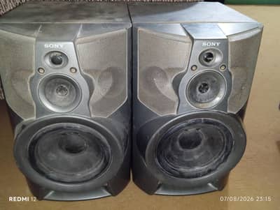 song original speaker's